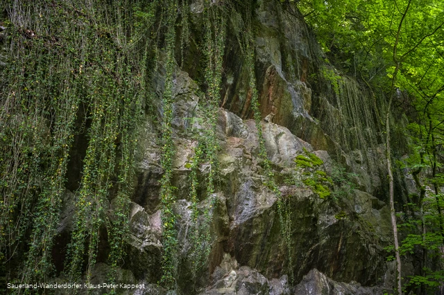 Sauerland-Seelenort: Steinbruch Peperburg