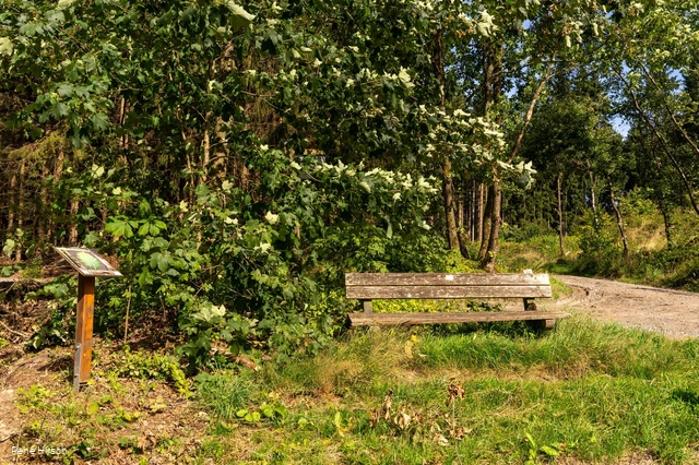 Verweil-Ort Ankommen