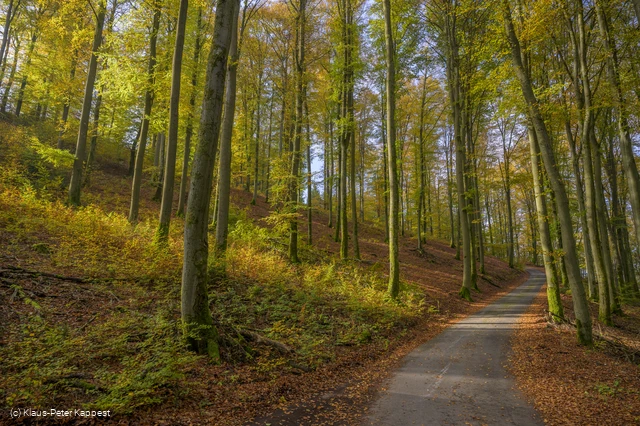 Herbststimmung bei Milchenbach