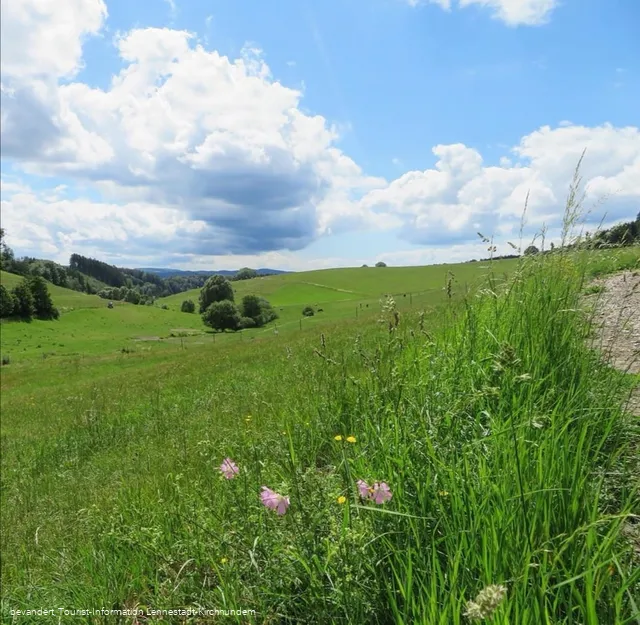 Rund um Elspe