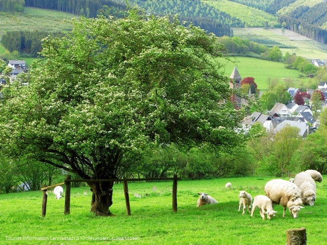 Blick auf Saalhausen, unterhalb des "Weißen Kreuzes"