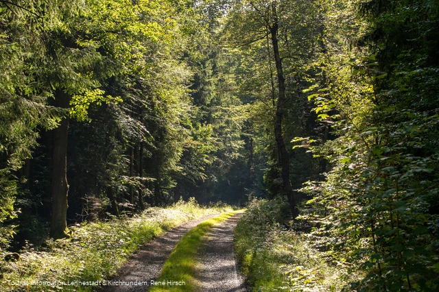 Wanderweg an der Einsiedelei