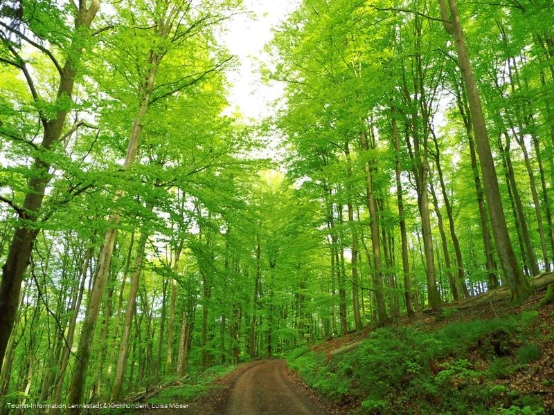 Tour Bundesgolddorf Milchenbach