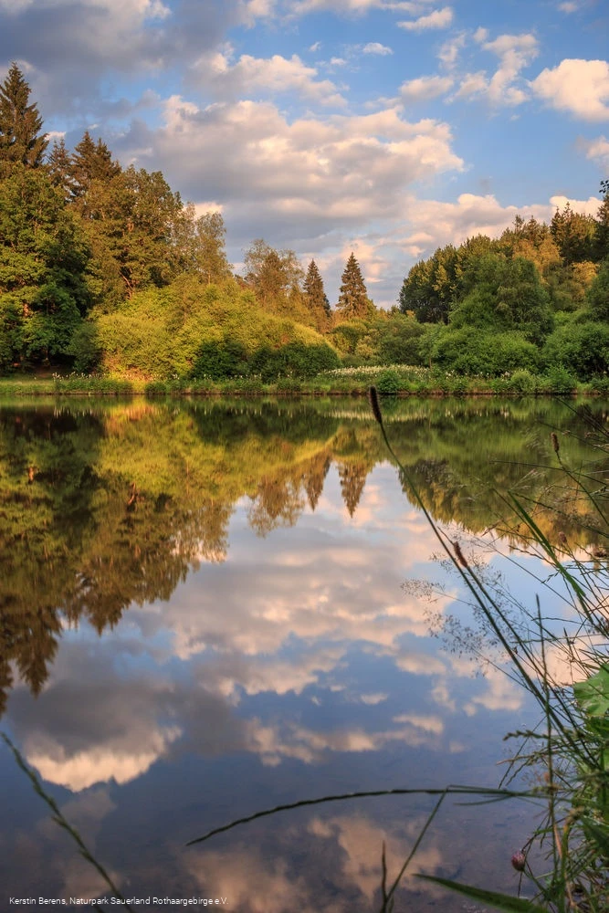 Impressionen des Dollenbrucher Weihers Impressionen des Dollenbrucher Weihers