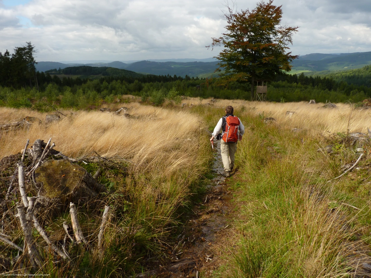 Wanderung Albaumer Klippen