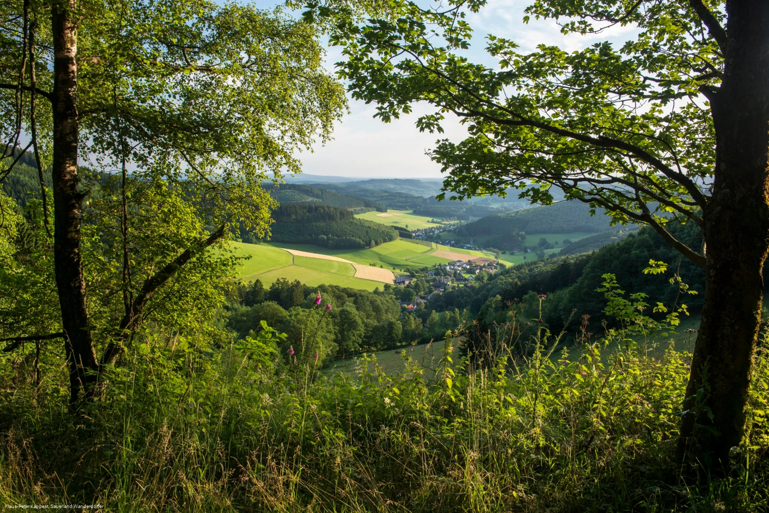 Aussicht am goldenen Zapfen in Siegerland