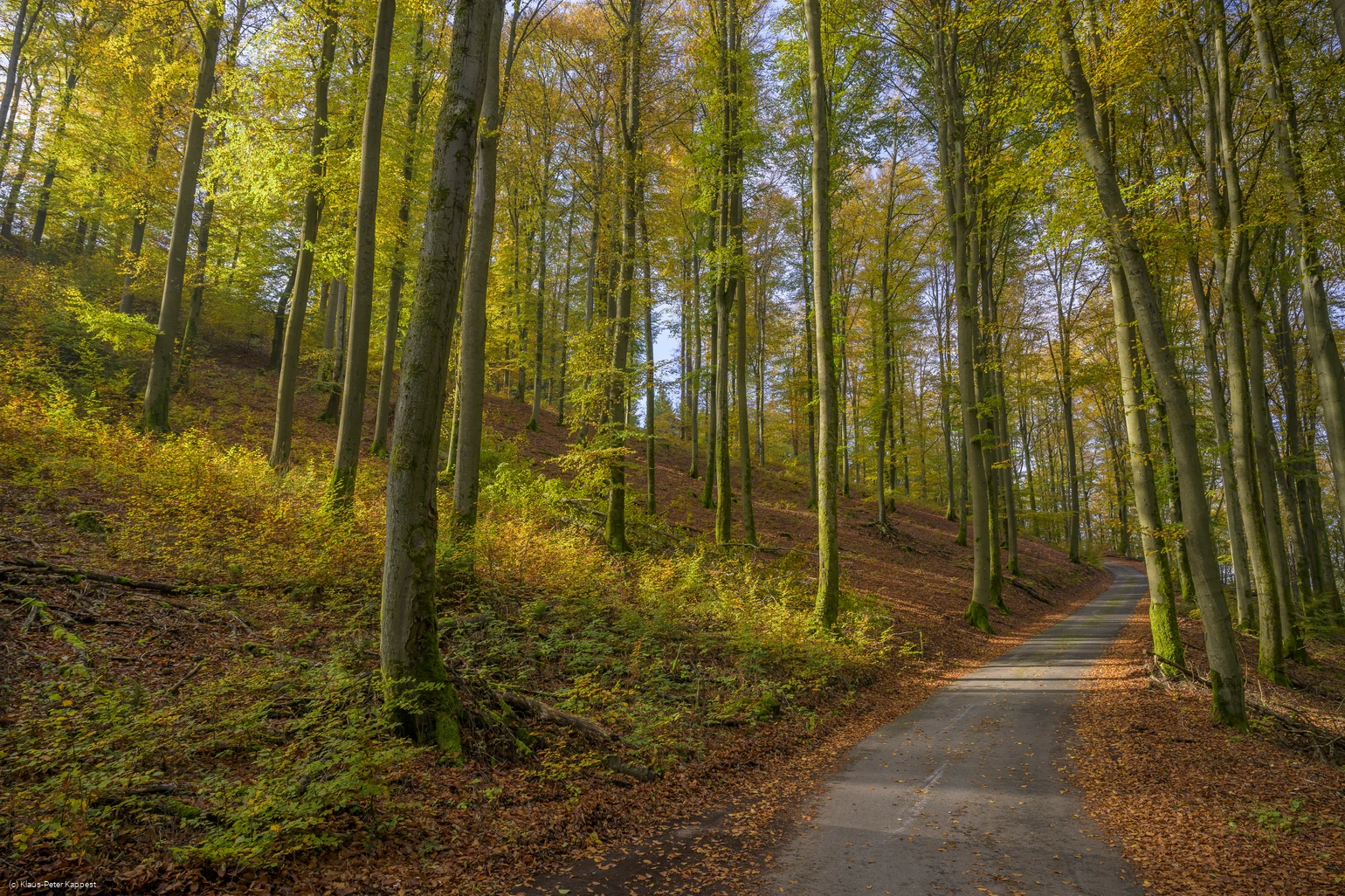 Herbststimmung bei Milchenbach