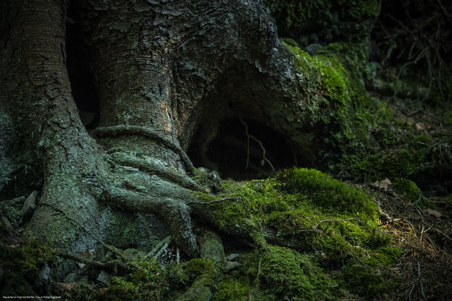 Steinbruch am Schinkenkeller