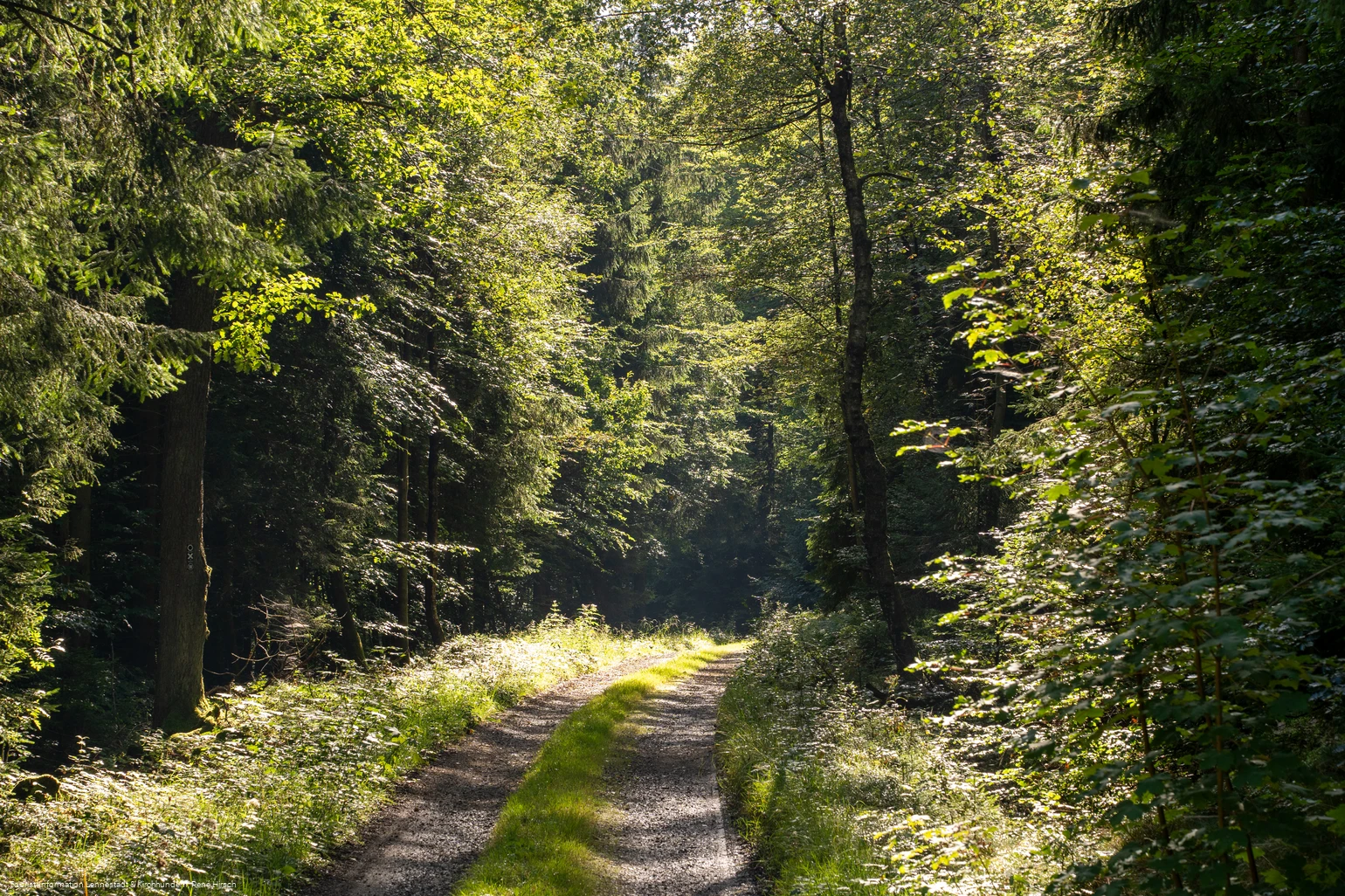Wanderweg an der Einsiedelei