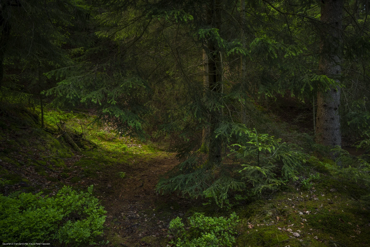 Sauerland-Seelenort Steinbruch am Schinkenkeller