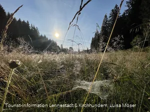 Sonnenaufgang im Schwarzbachtal