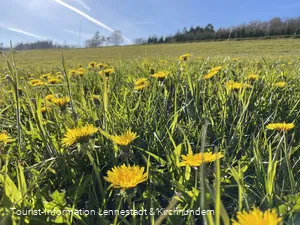 Wildnisküche