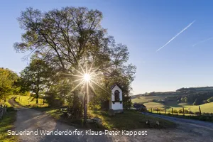 Sauerland Seelenort Lausebuche
