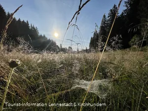 Schwarzbachtal Wiese