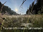 Sonnenaufgang im Schwarzbachtal