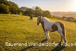 Reiten