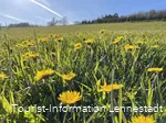Wildnisküche