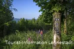 Wandern zwischen Fingerhüten