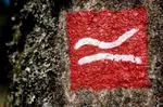Rothaarsteig Logo Baum