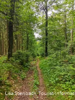 Pfad zurück nach Welschen Ennest