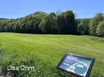 Veischeder Bilderbuchpfad_Wiese