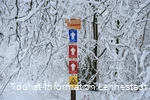 Loipenlandschaft