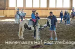 Ponyreiten Heinemanns Hof