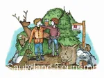 Grafik Verhaltensregeln im Wald