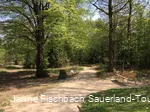 Naturerlebnispfad Hohe Bracht