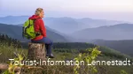 Wanderin auf Baumstamm