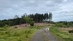 IMG20240618074114.jpg