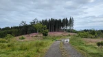 IMG20240618074114.jpg