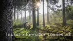 Picknick im Wald
