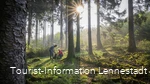 Picknick im Wald