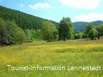 Wiesen im Kurpark_Kirsch-Stracke.jpg