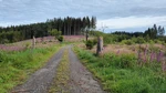IMG20240618075909.jpg