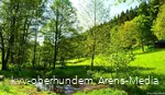 Kurpark_Potersiepen.jpg