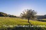 Sauerland-Seelenort Lausebuche