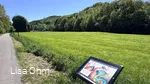 Veischeder Bilderbuchpfad_Weg
